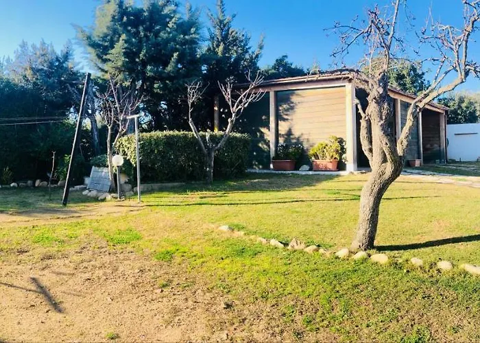 Sardegna אולביה